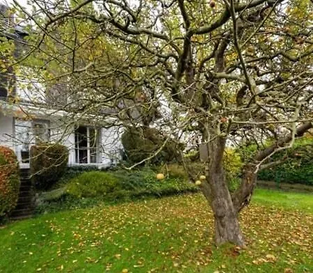 Cozy House, Pleasant Location, Very Near Cologne * Bergisch Gladbach
